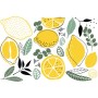 TRANSFER LEMON