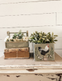 TRANSFER MORNING FARMHOUSE