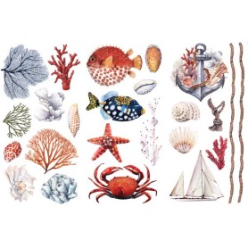 TRANSFER AMAZING SEA LIFE