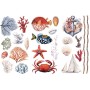 TRANSFER AMAZING SEA LIFE