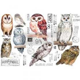 TRANSFER OWL