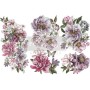TRANSFER DREAMY FLORALS