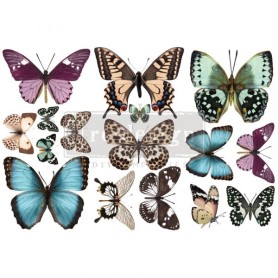 TRANSFER BUTTERFLY
