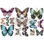 TRANSFER BUTTERFLY