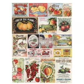 TRANSFER VINTAGE SEED 61 x 89 cm