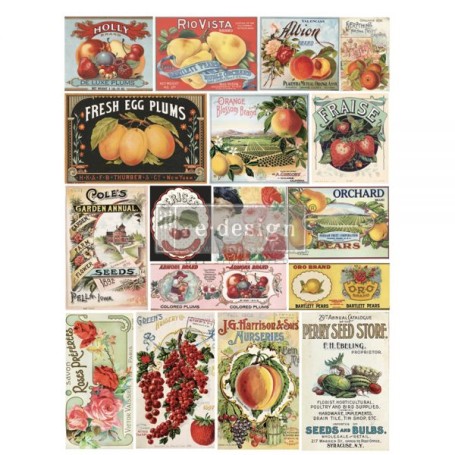 TRANSFER VINTAGE SEED 61 x 89 cm