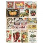 TRANSFER VINTAGE SEED 61 x 89 cm