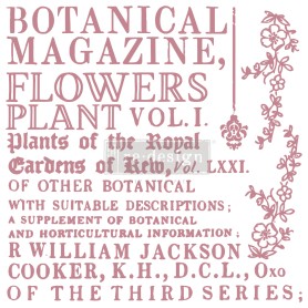 SET DI TIMBRI - BOTANICAL ENCYCLOPEDIA