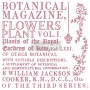 SET DI TIMBRI - BOTANICAL ENCYCLOPEDIA