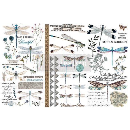 TRANSFER SPRING DRAGONFLY