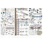 TRANSFER SPRING DRAGONFLY