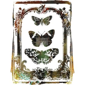 TRANSFER BUTTERFLY FRAME 61 x 86,3 cm