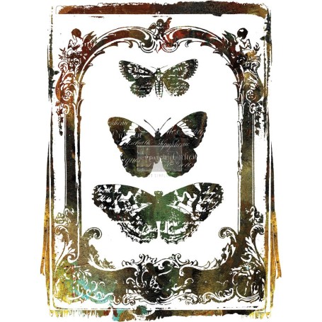 TRANSFER BUTTERFLY FRAME 61 x 86,3 cm