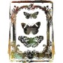TRANSFER BUTTERFLY FRAME 61 x 86,3 cm
