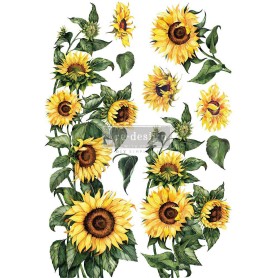 TRANSFER SUNFLOWER 61x89 cm