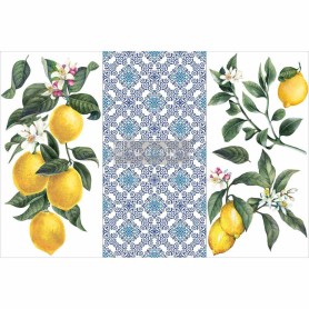 TRANSFER LEMON TREE
