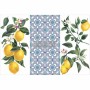 TRANSFER LEMON TREE