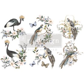 TRANSFER RARE BIRDS