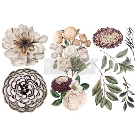 TRANSFER NATURAL FLORA