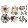 TRANSFER NATURAL FLORA