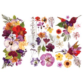 TRANSFER ORGANIC FLORA