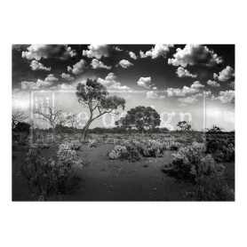 FOGLIO PER DECOUPAGE SERENE WILDERNESS