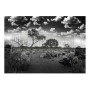 FOGLIO PER DECOUPAGE SERENE WILDERNESS