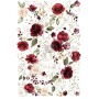 TRANSFER MIDNIGHT FLORAL 61x89 cm
