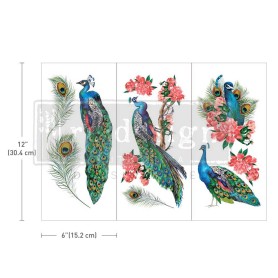 TRANSFER ROYAL PEACOCK