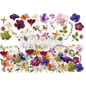 TRANSFER  PRESSED FLOWERS 61x89 cm