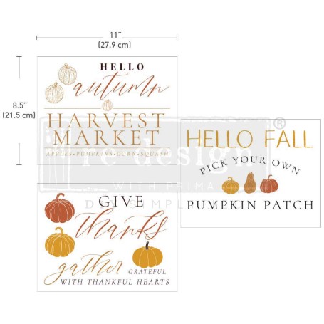 TRANSFER FALL FESTIVE