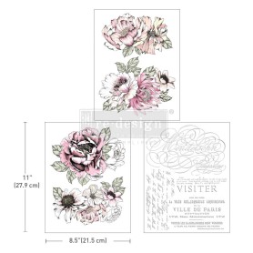 TRANSFER DESERT ROSE