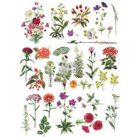 TRANSFER FLORAL COLLECTION 61x86,3 cm