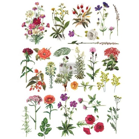 TRANSFER FLORAL COLLECTION 61x86,3 cm