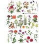 TRANSFER FLORAL COLLECTION 61x86,3 cm