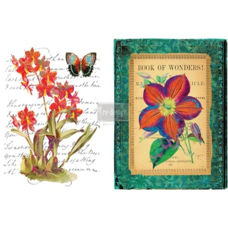 TRANSFER WONDROUS FLORA 55,8 x 81,2 cm