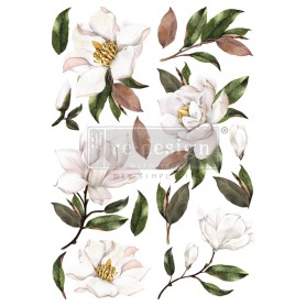 TRANSFER MAGNOLIA GRANDIFLORA 61x89 cm