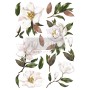 TRANSFER MAGNOLIA GRANDIFLORA 61x89 cm