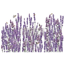 TRANSFER CHAMPS DE LAVENDE 61x89 cm