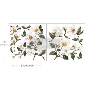MAXI TRANSFER MAGNOLIA GARDEN