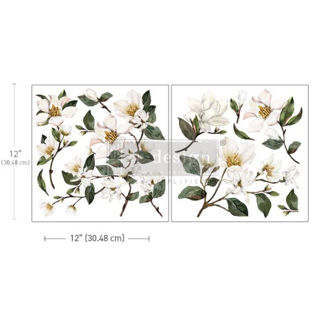 MAXI TRANSFER MAGNOLIA GARDEN