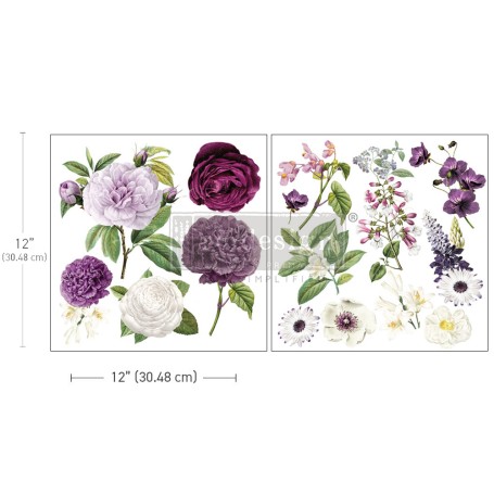 MAXI TRANSFER MAJESTIC BLOOMS