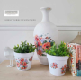 H2O TRANSFER BRILLIANT BLOOMS 27,9 x 21,5 cm