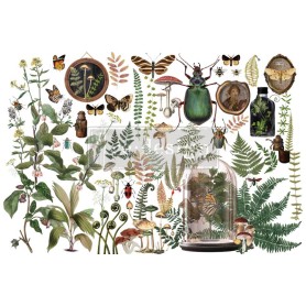 TRANSFER MY FINDINGS 61 x 89 cm