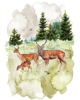 TRANSFER FAUNA 58,4 x 86,3 cm