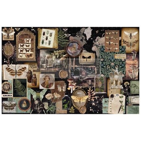 FOGLIO PER DECOUPAGE HERBARIUM NOTES