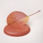 PRETTY PEACH 700 ml