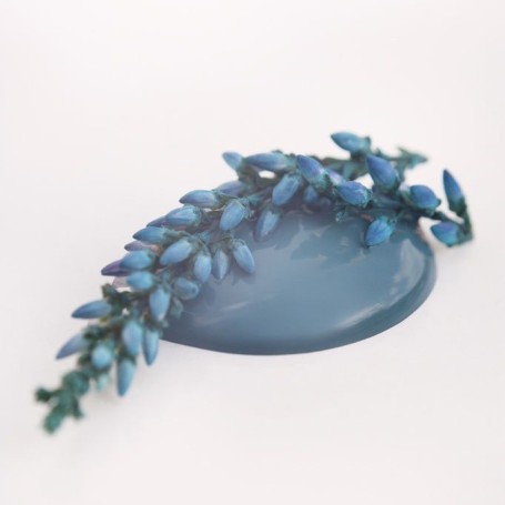 TIMELESS TEAL 50 ml