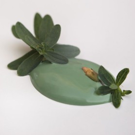GRACEFUL GREEN 50 ml