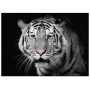 FOGLIO PER DECOUPAGE MONOCHROME MAJESTY